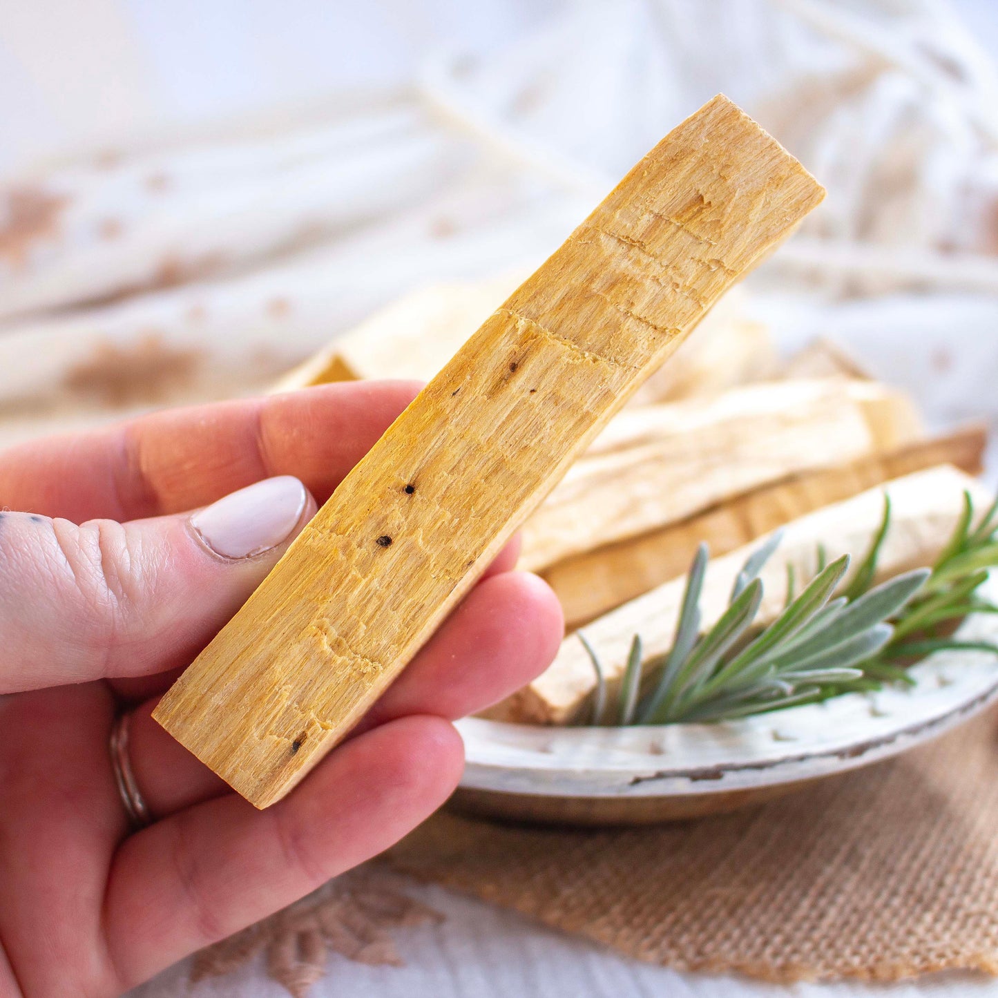 Sustainable Palo Santo Wood | Ethically Sourced | Holy Sacred Wood Natural Incense | 1 or 3 sticks